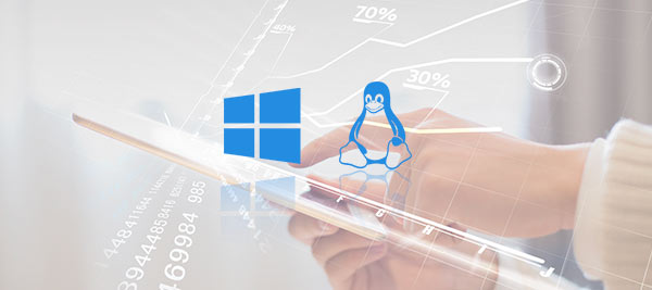 Einsetzbar auf Windows, Linux und anderen Plattformen.