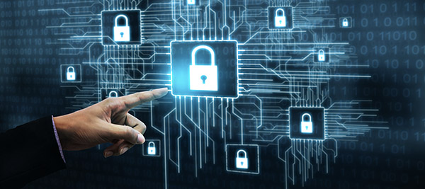  Provide TF card authorization, encryption chip authorization, serial number authorization and multiple authorization methods