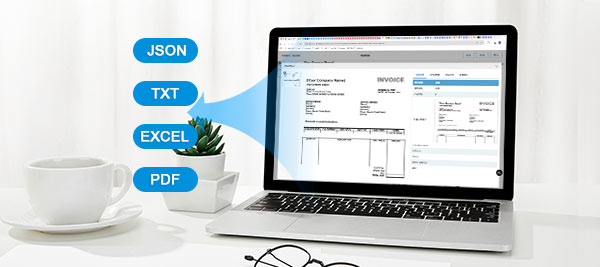 支持JSON、TXT、EXCLE等主流格式,也支持双层PDF文件的导出