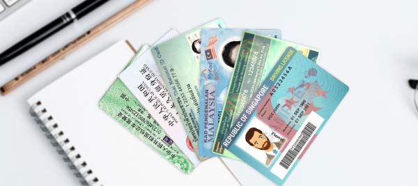 支持识读外国人永久居留身份证、回乡证、台胞证、港澳台居民往来大陆通行证、北京社保卡、国内/国外驾驶证、签证、马来西亚/新加坡/泰国身份证等多种证件